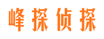 桃源市私人调查